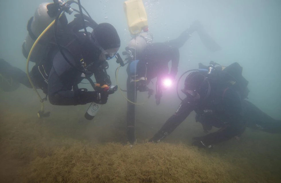Cavas subacuáticas: los primeros resultados de Potrerillos y otras experiencias bajo el agua